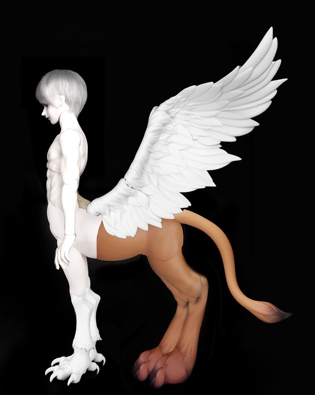 [​IMG]