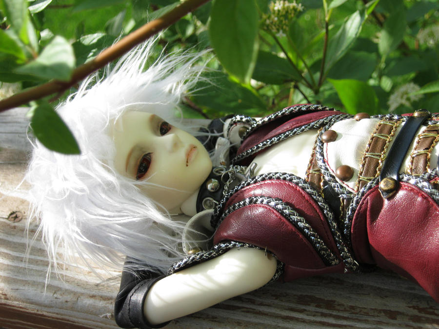 [​IMG]