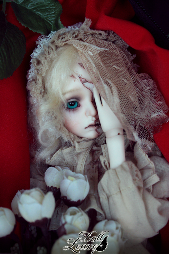 [​IMG]