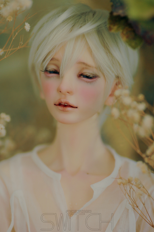 [​IMG]