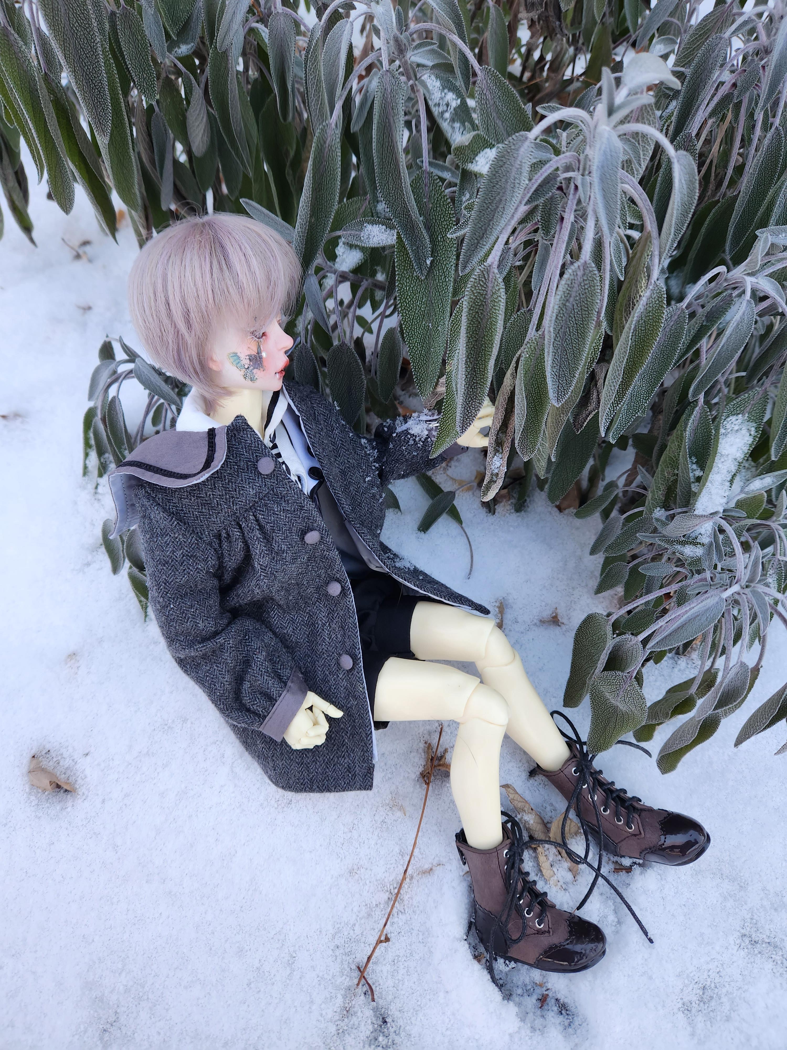 [​IMG]