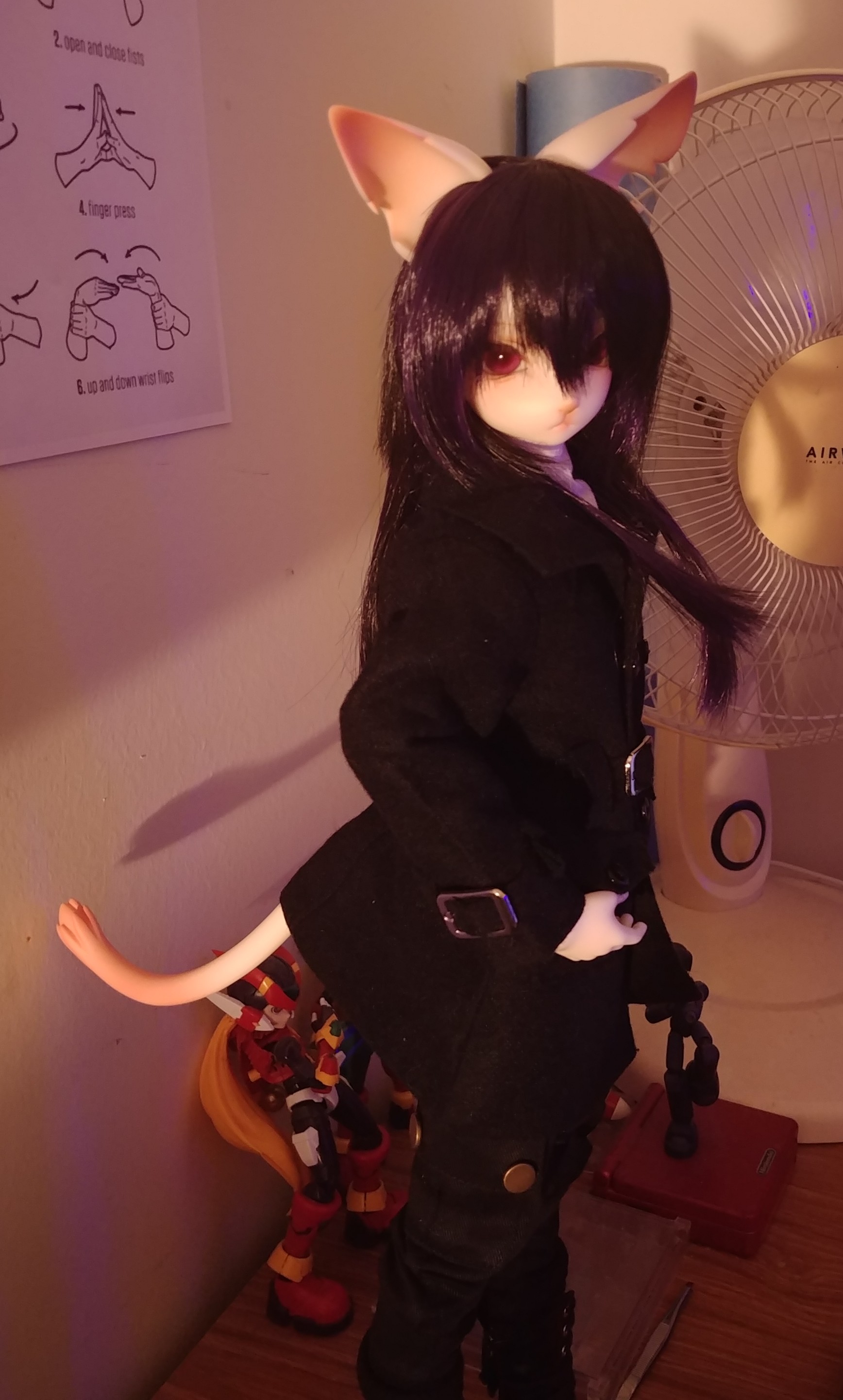 [​IMG]
