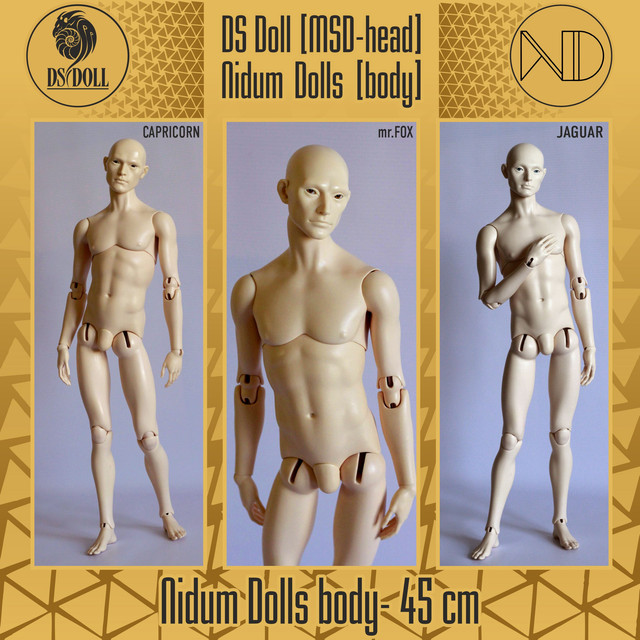 Preorder - Pre-ordered 1/4-Heads [DS Doll] on the body of Nidum Dolls until  20.07.22 | Den of Angels