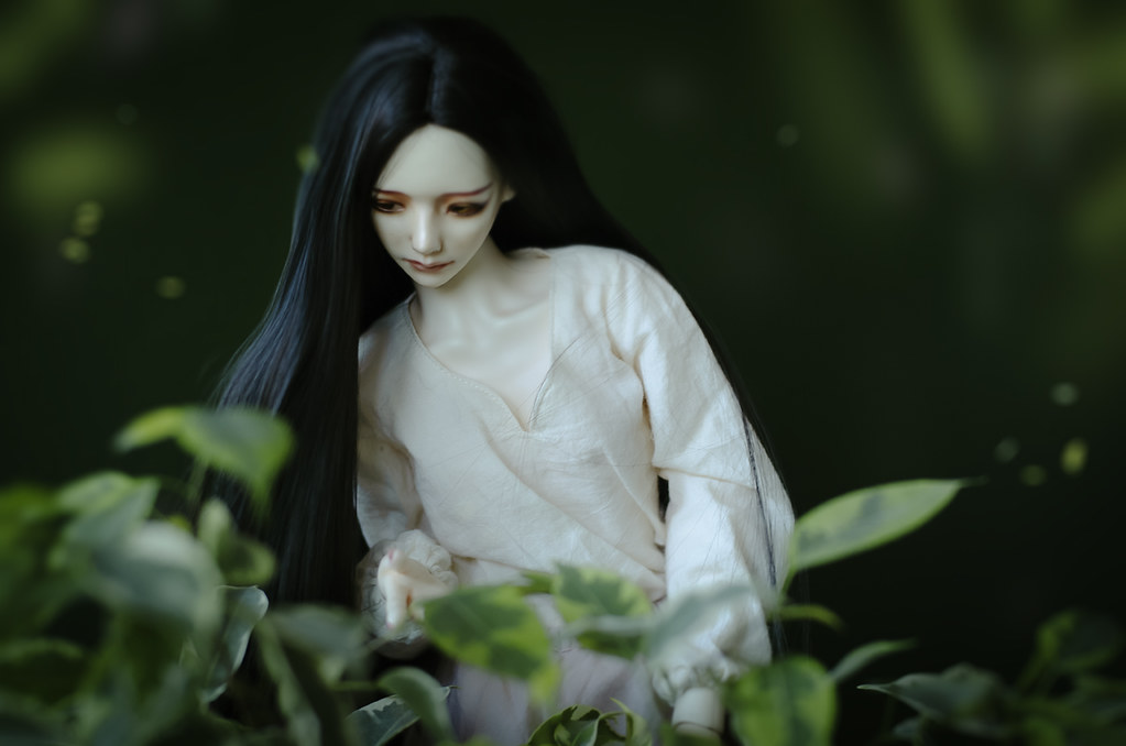 [​IMG]