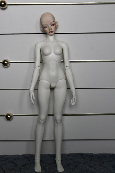 [​IMG]