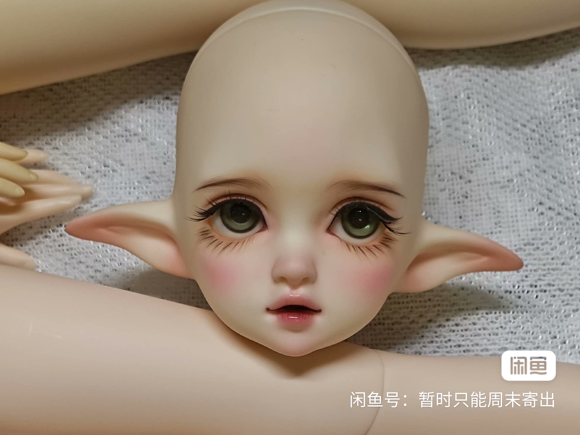 [​IMG]
