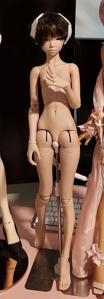 [​IMG]