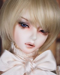 [​IMG]