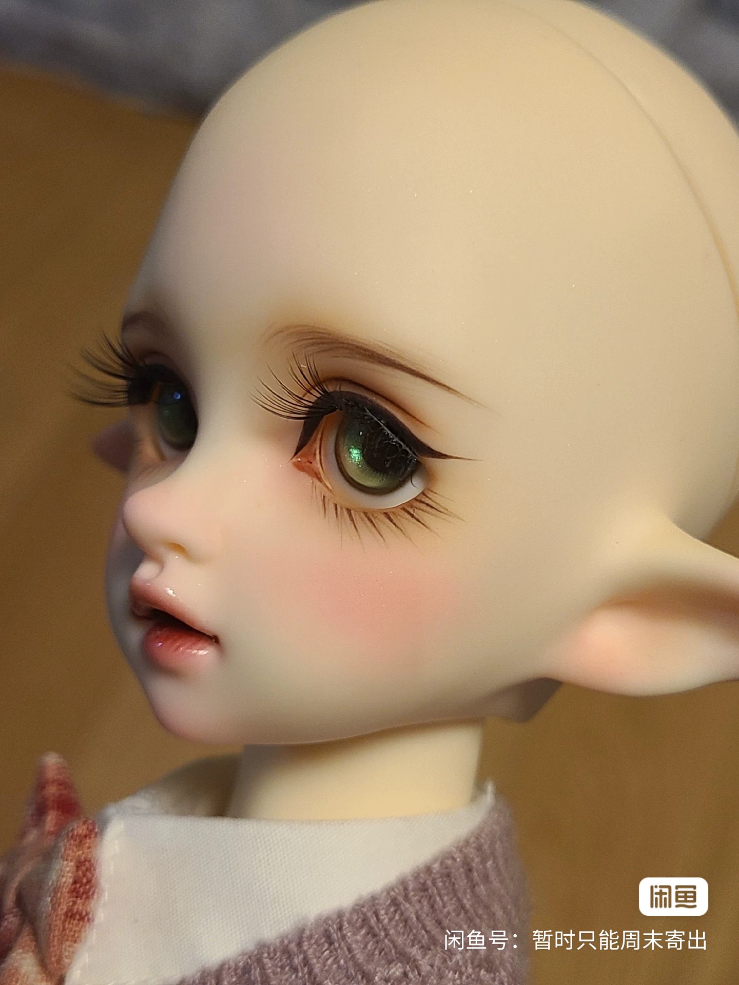[​IMG]