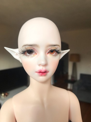 [​IMG]