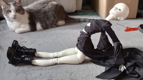 [​IMG]