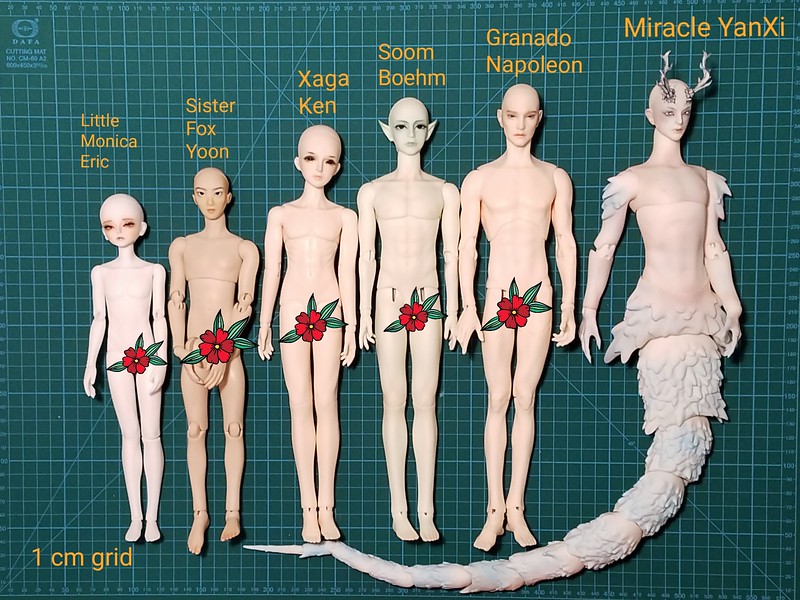 [​IMG]